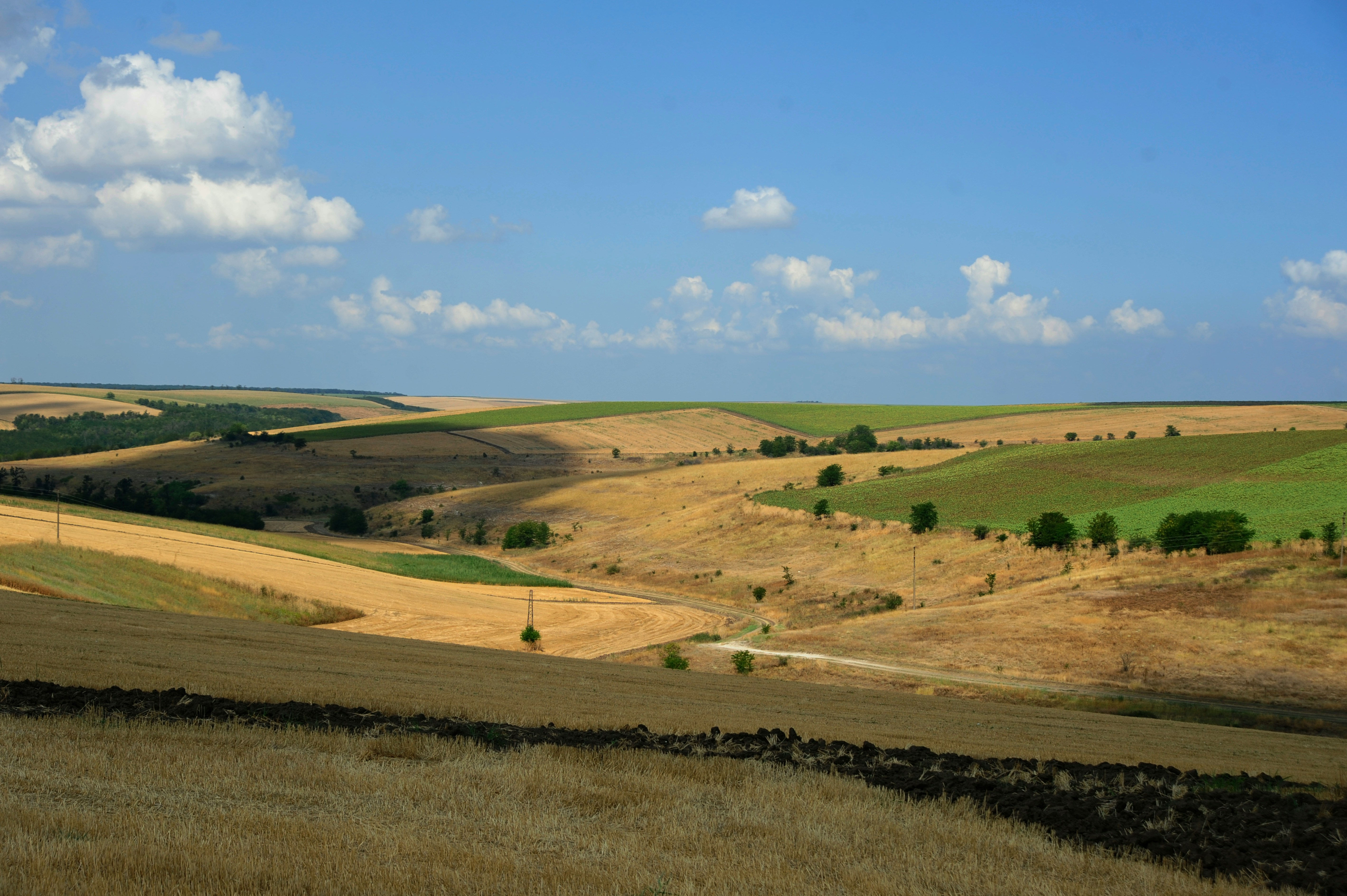 Rolling hills with cultivated fields under a blue sky.