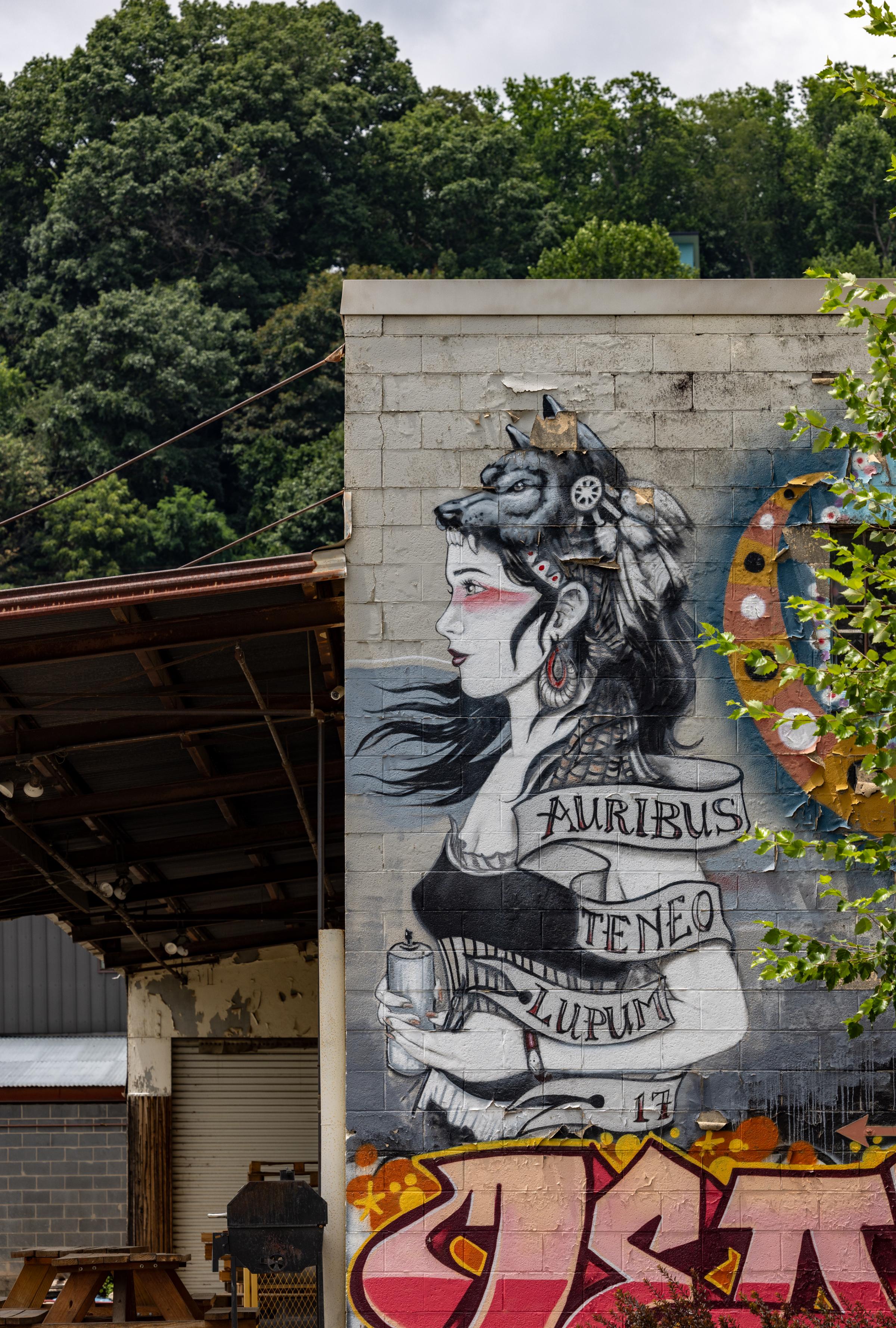 River Arts District - Auribus Teneo Lupum - Asheville, NC