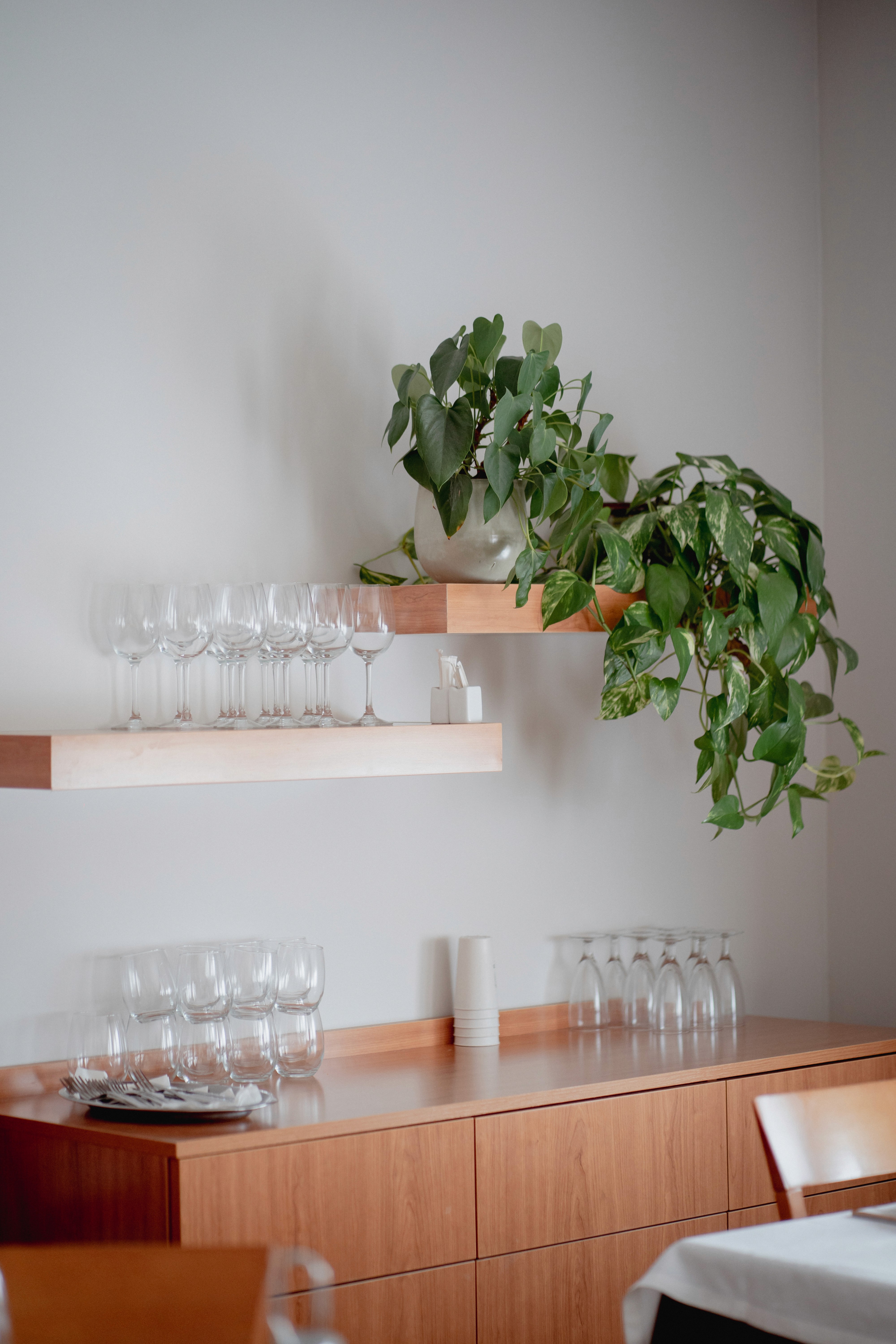 fish dish with light green sauce