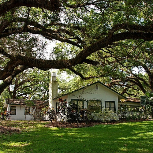 一座白色的单层房屋，带有一个烟囱，周围环绕着郁郁葱葱的绿树和前院的大型橡树。