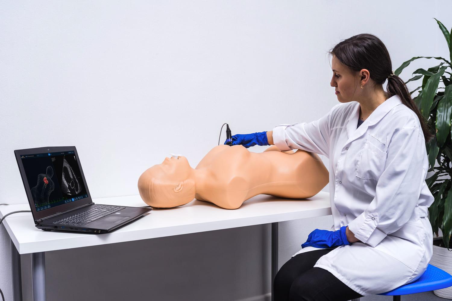 manikin for teaching ultrasound diagnostics