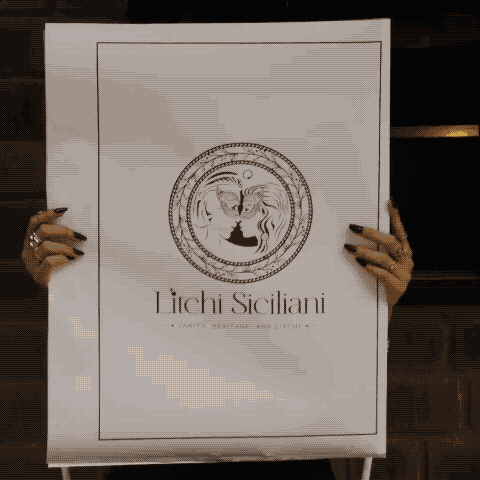 3D face colorfull skull