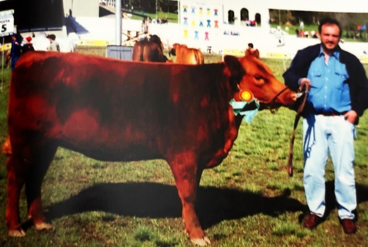 Junto a una vaquillona premiada en Brasil, en los años 2000.