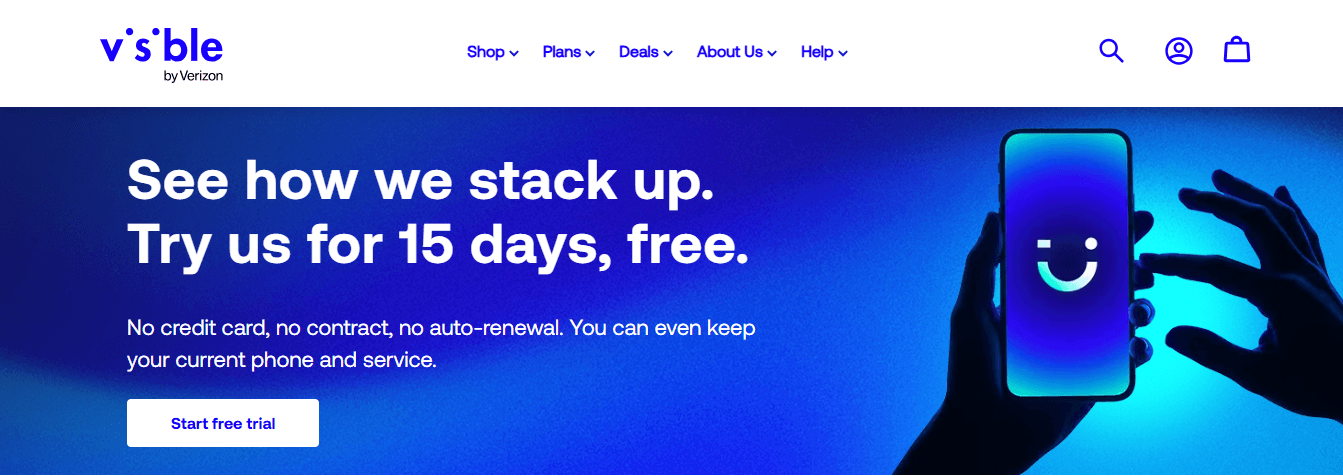 visibility trrail -  SEO Agency For Software Companies