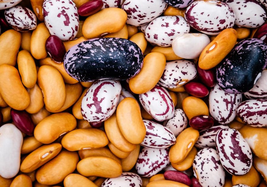 Legumi ricchi di ferro