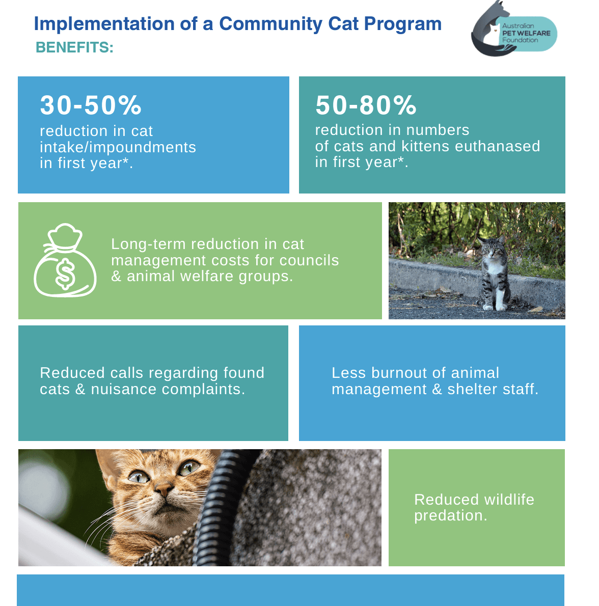 implementation-community-cat-program