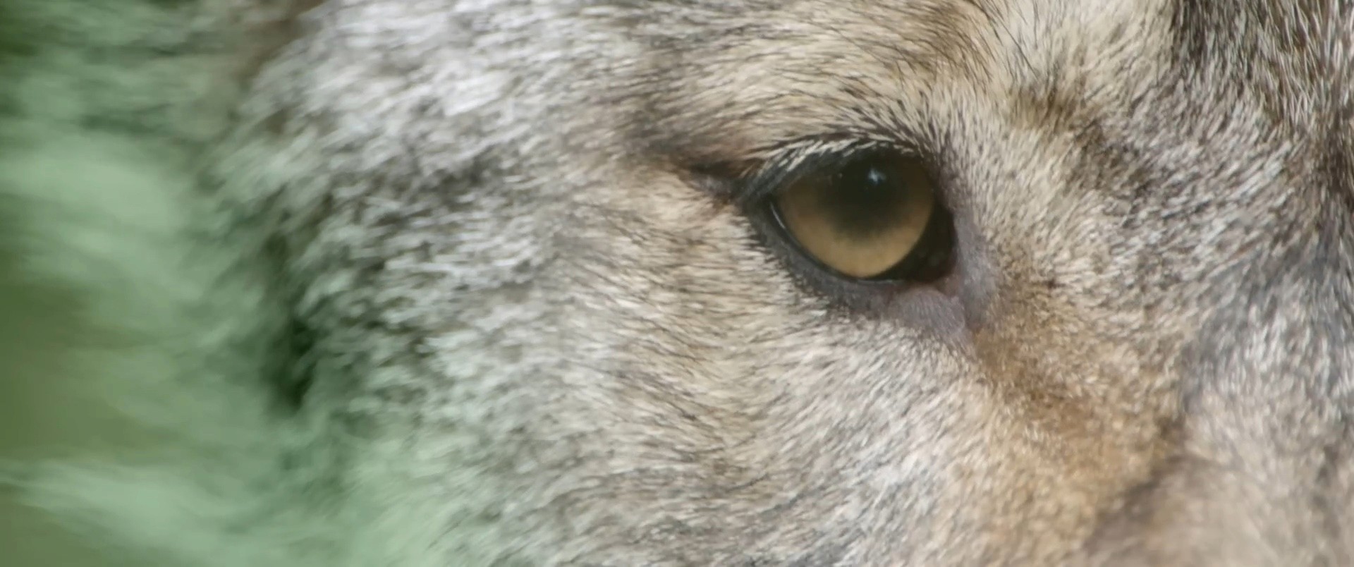 partners en cliënten