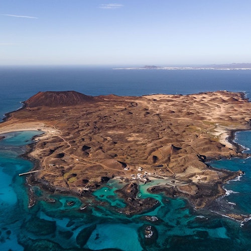 洛博斯岛：科拉雷霍往返渡轮 + 小型巡游 + 富埃特文图拉 1 杯饮品票