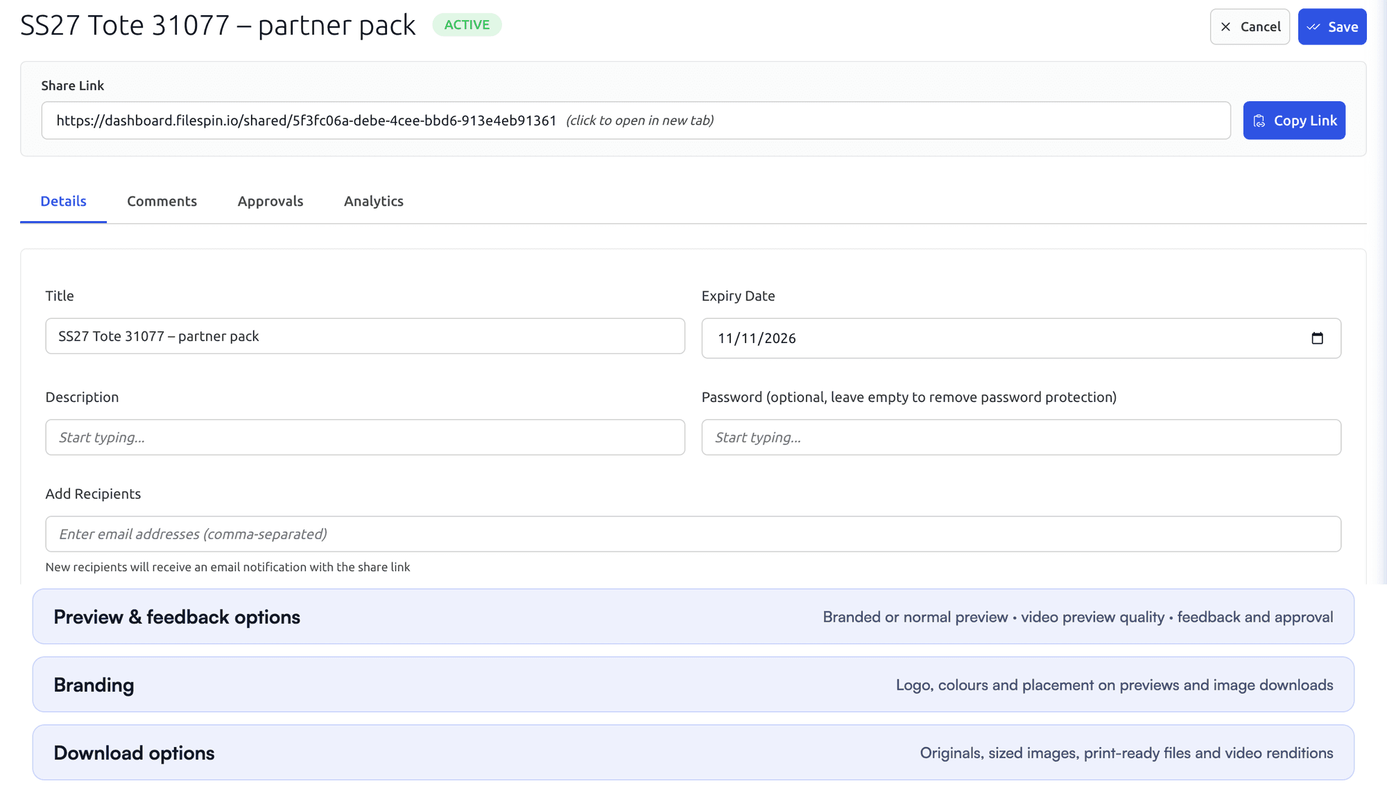 FileSpin share settings with title, expiry date, optional password and recipients, followed by the Preview and feedback options, Branding and Download options sections