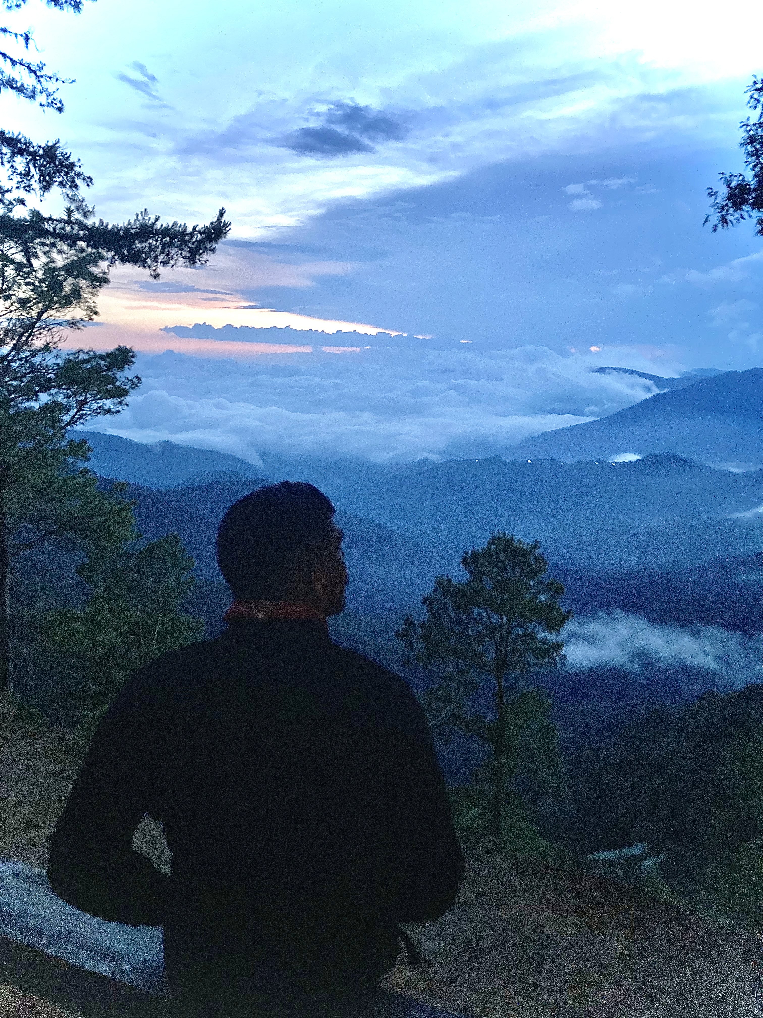 Vintage Car Under Palm Trees
