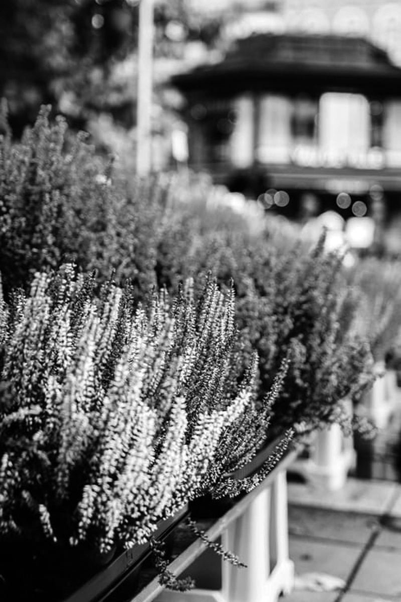 Luxury jet rental Stockholm - Scandinavian design and Royal Palace access