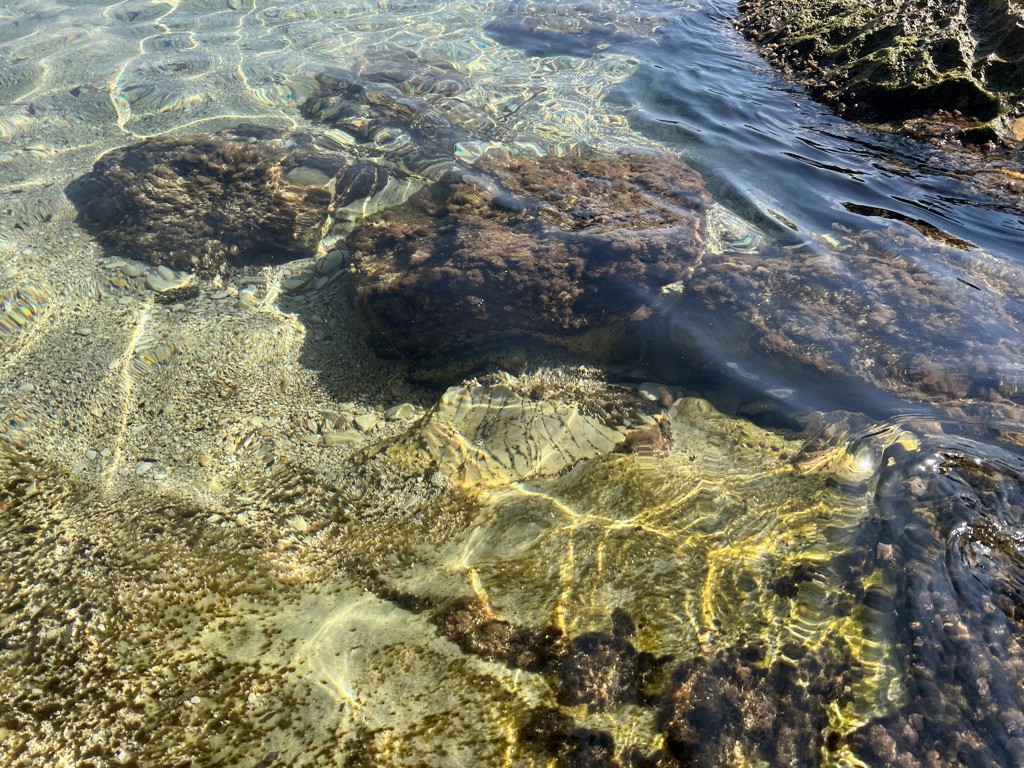 a black and white cat laying on top of a white wall