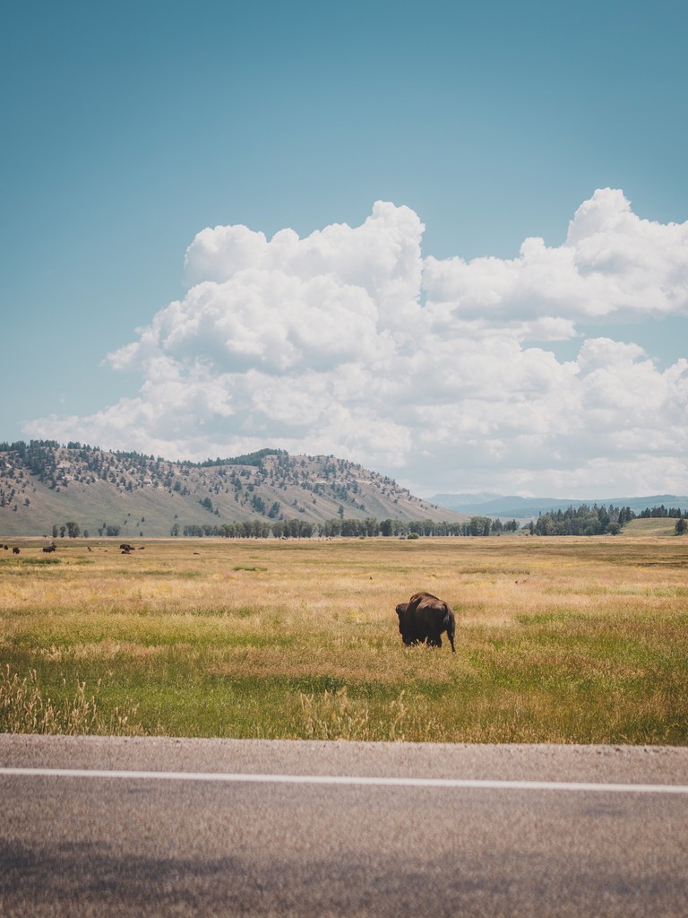 Grand Teton