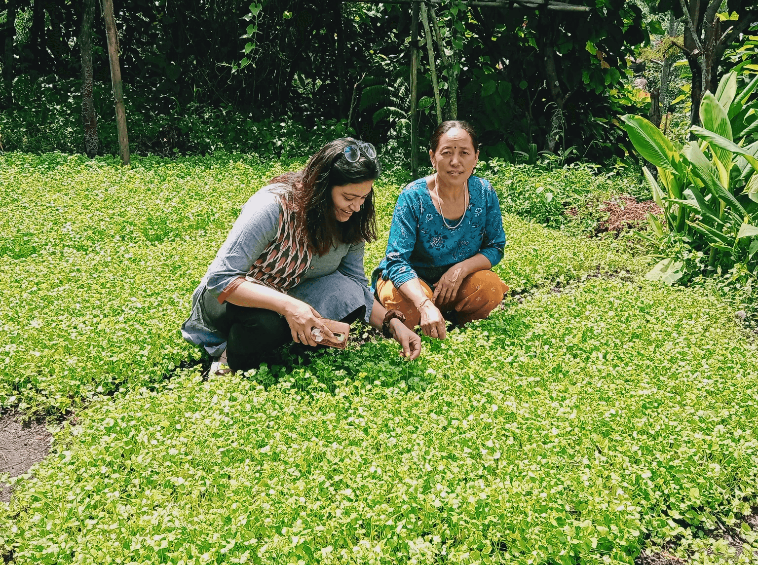 Sample image from a project