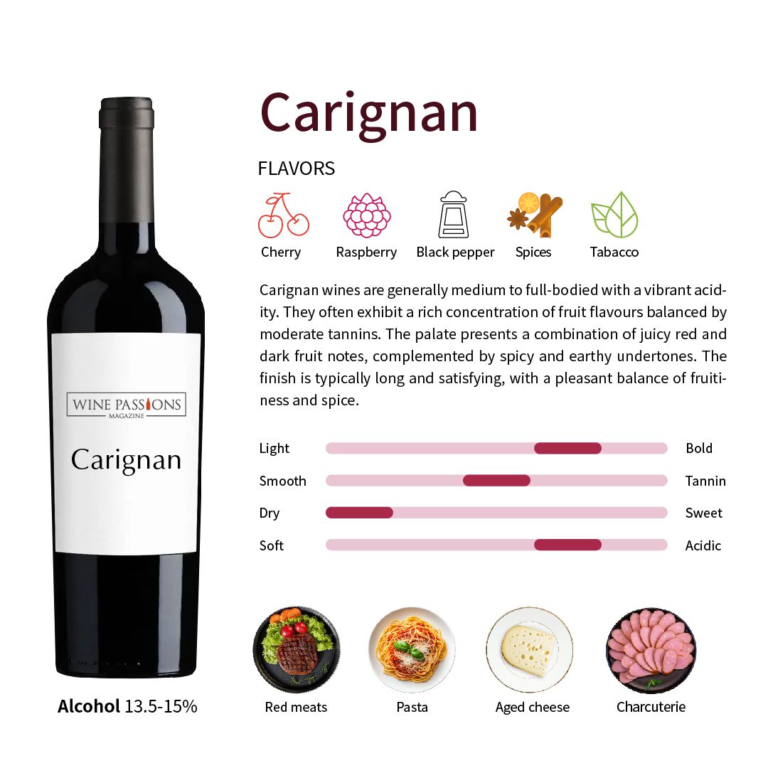 Carignan grape, Cariñena Mazuelo grape, Spanish red wine, French red wine, Carignan wine, Spanish Mazuelo, Languedoc-Roussillon Priorat wine, food pairing suggestions, wine tasting techniques, single varietal red wine, old vine grapes.