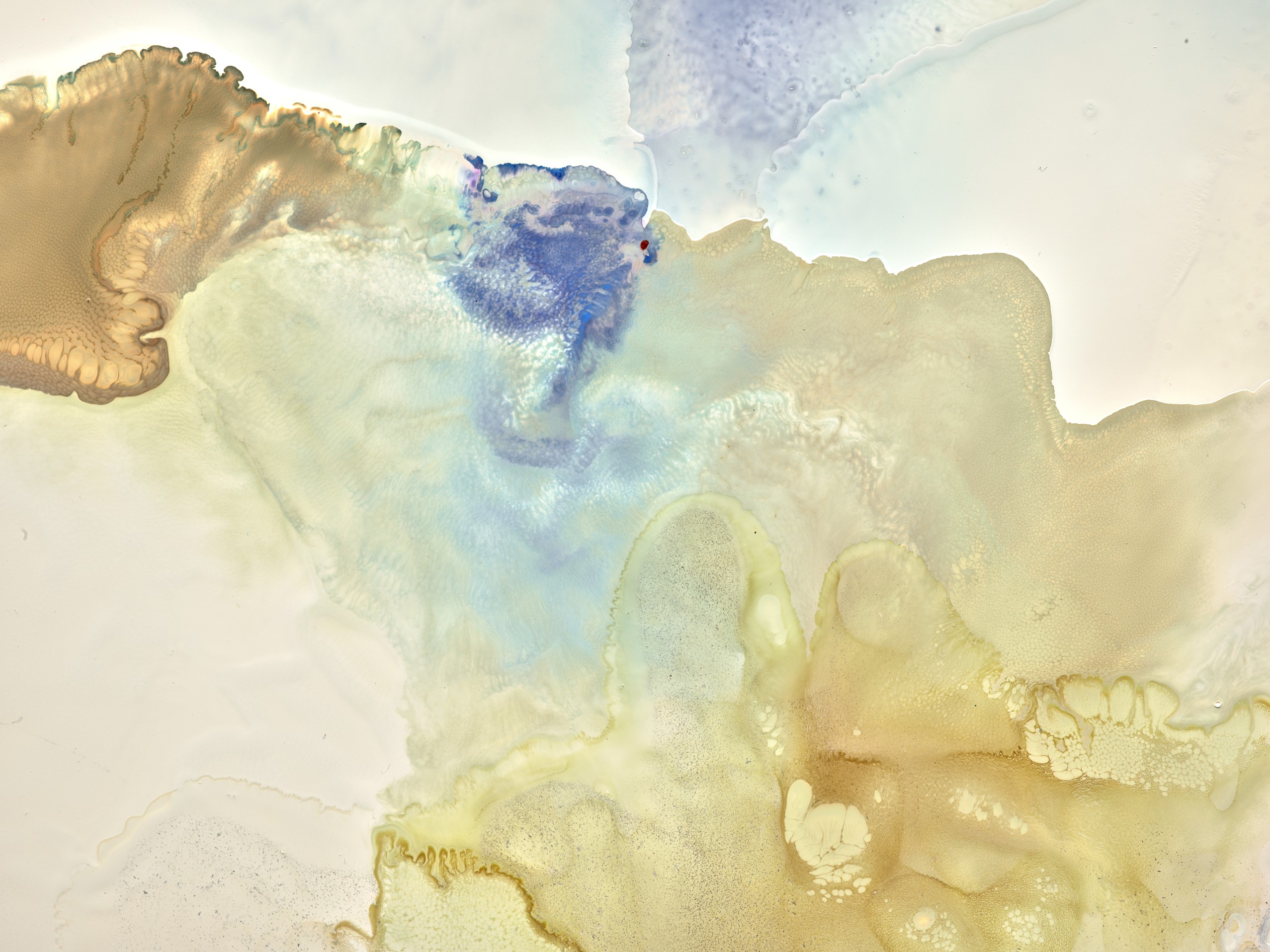 Echoes in&nbsp;Color Image #2