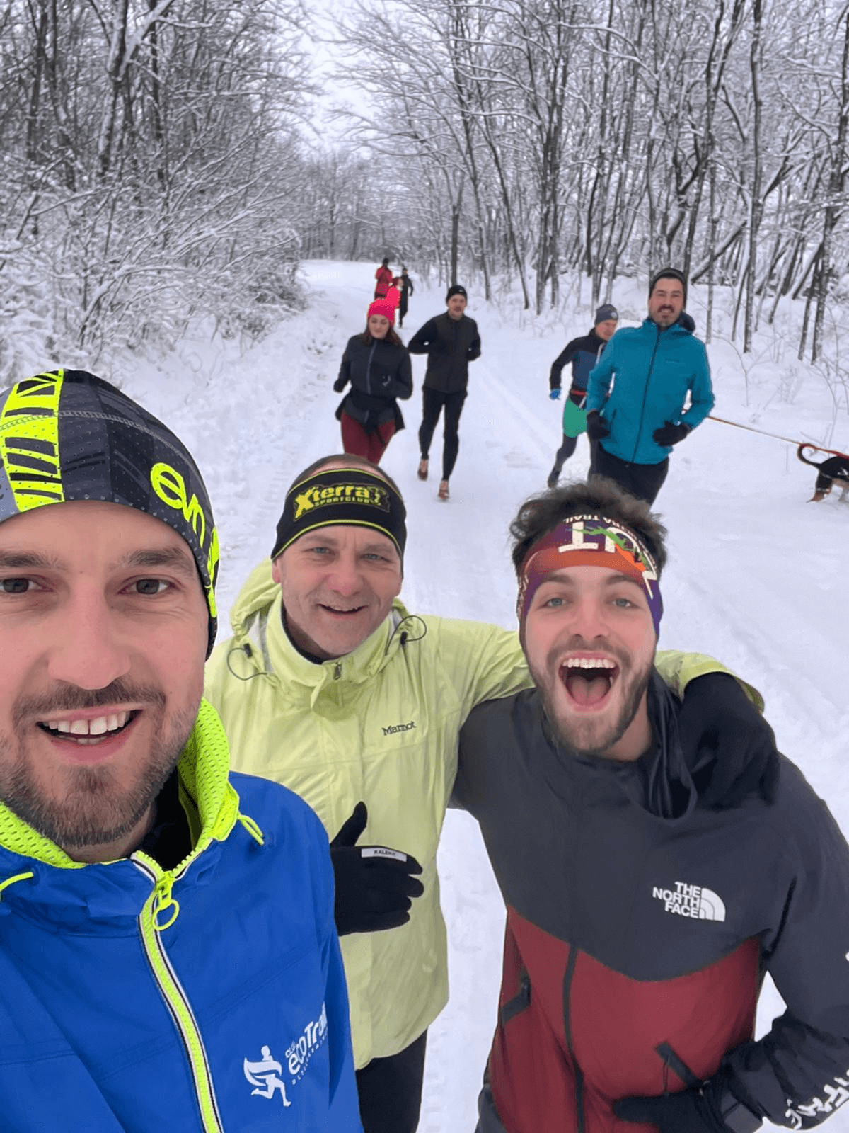 Why It’s Section Image