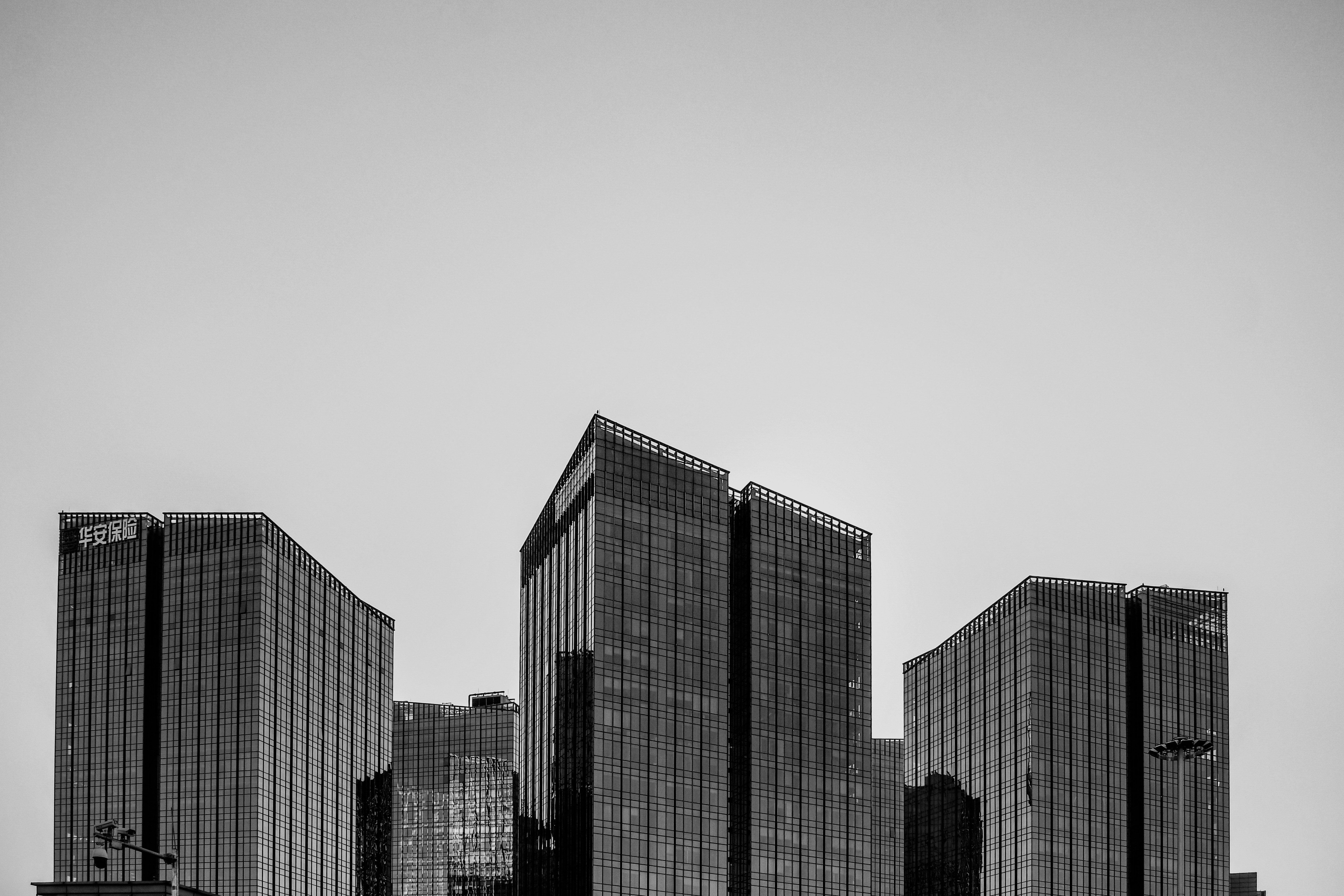 grayscale photo of high rise buildings