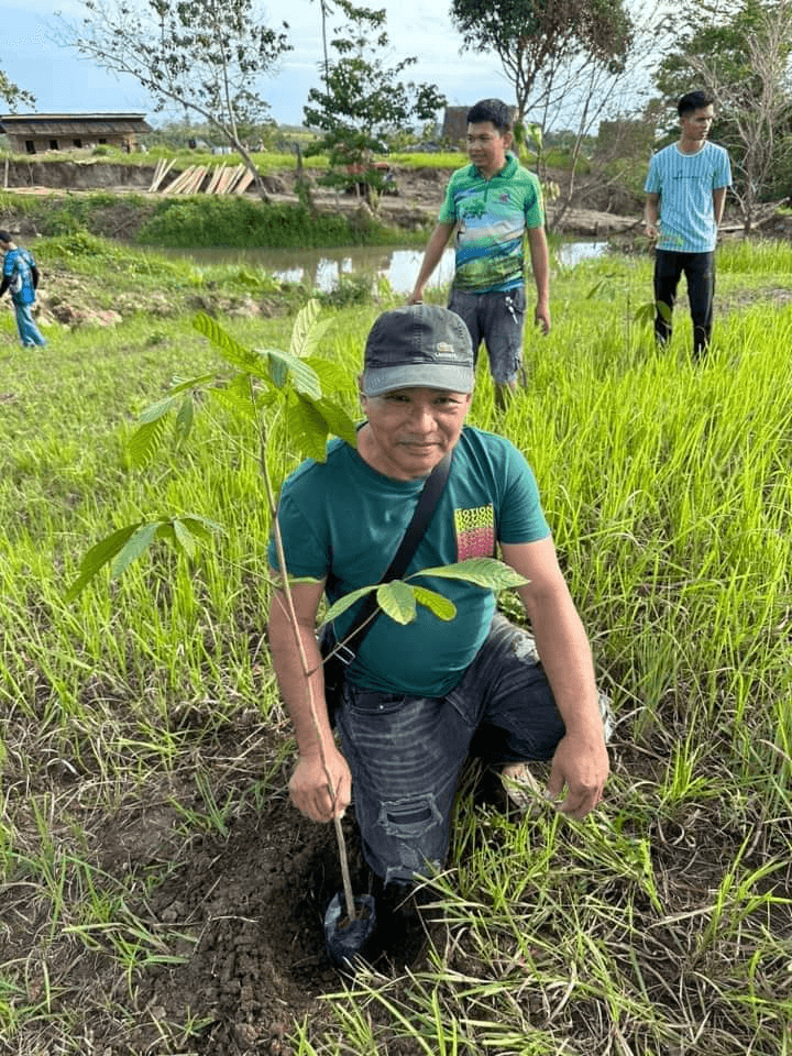 solar panels on the roof