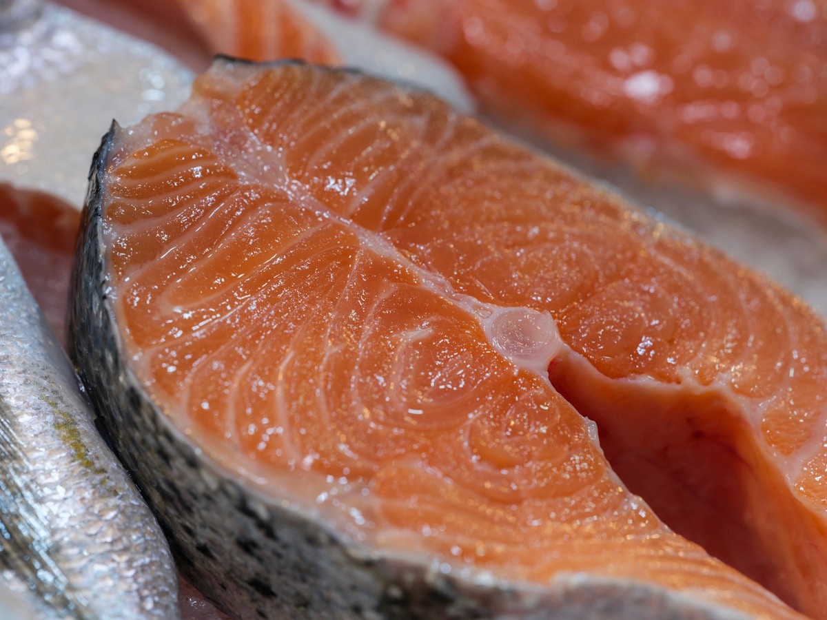 Close-up of fresh salmon steaks on ice