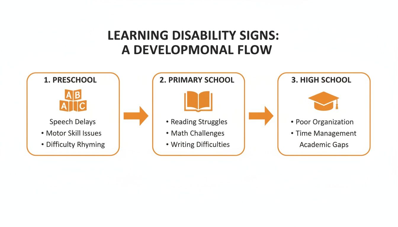 Flowchart showing developmental signs of learning disabilities across preschool, primary, and high school stages.
