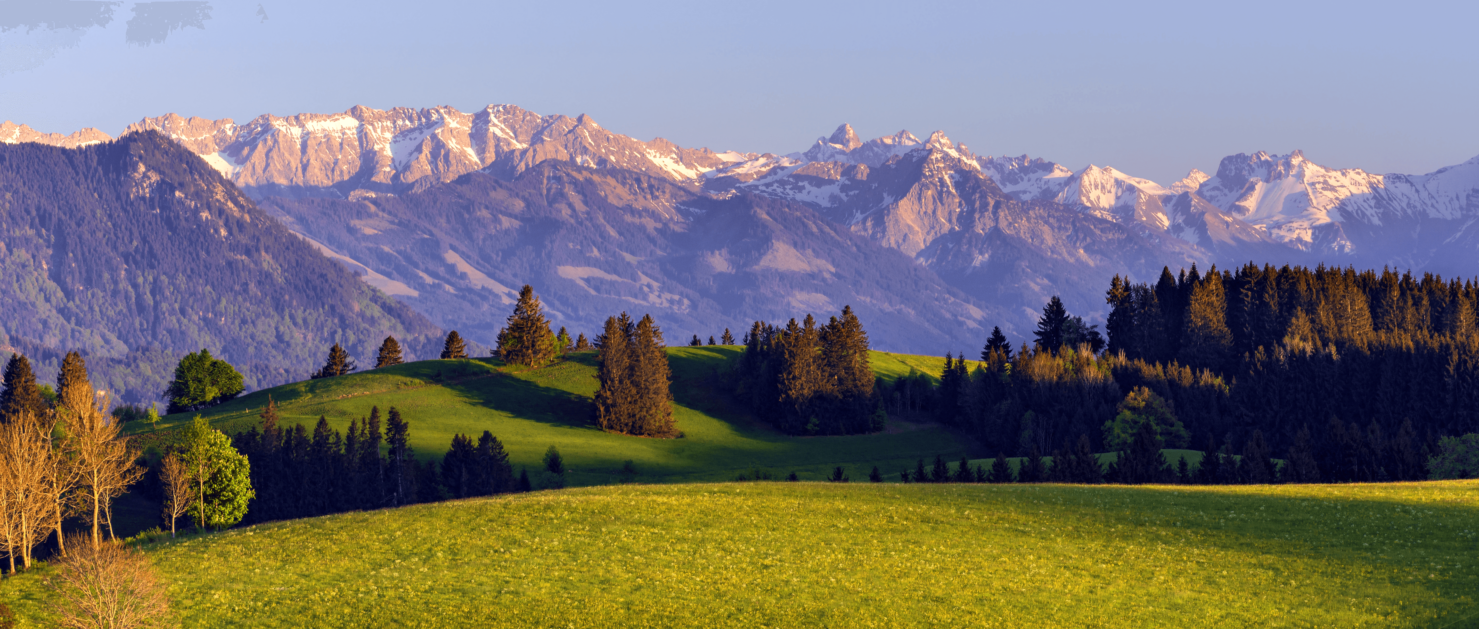 Inside view of a grey classic house wall