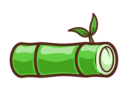Green bamboo stalk with small leaves