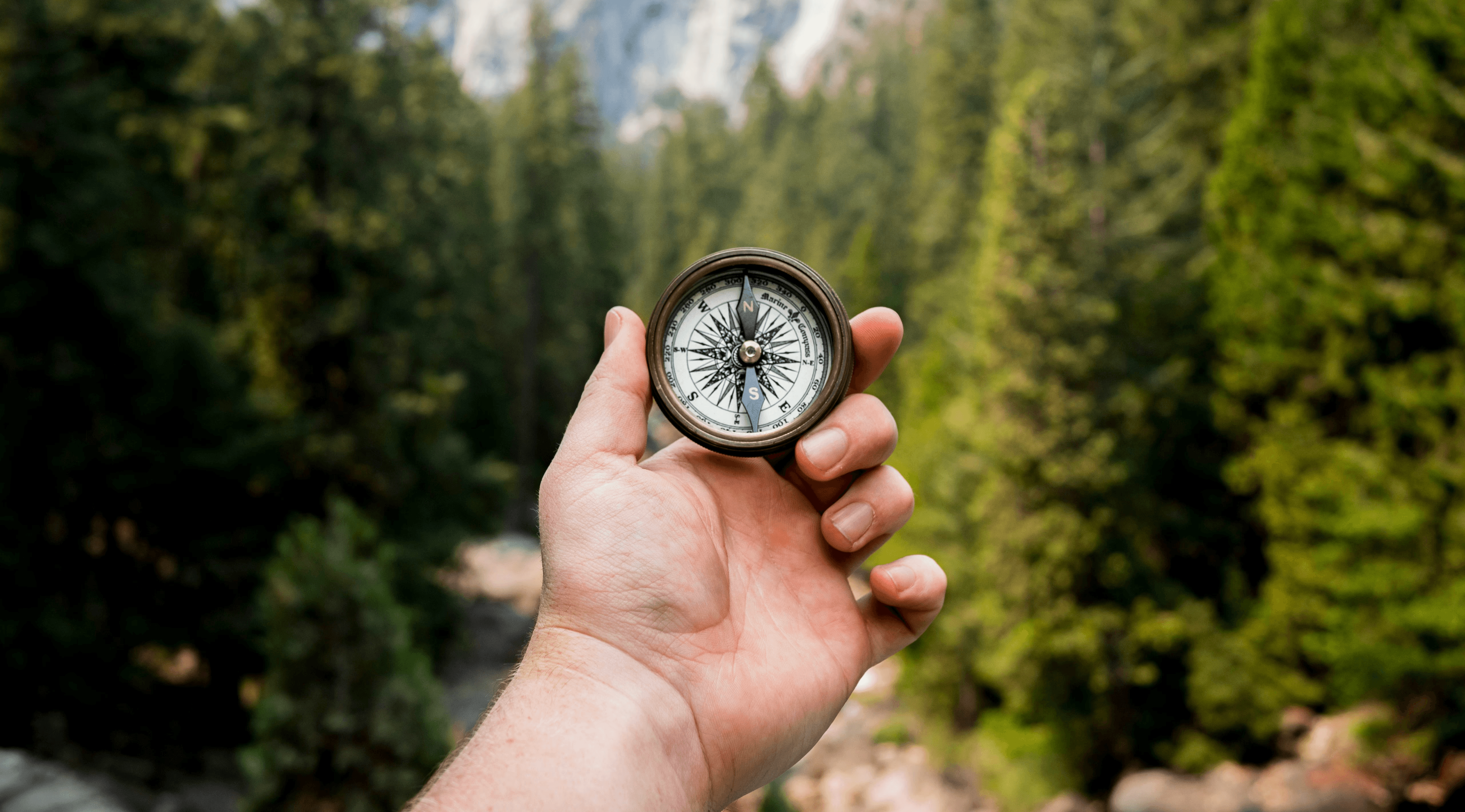 person holding compass facing towards green pine trees