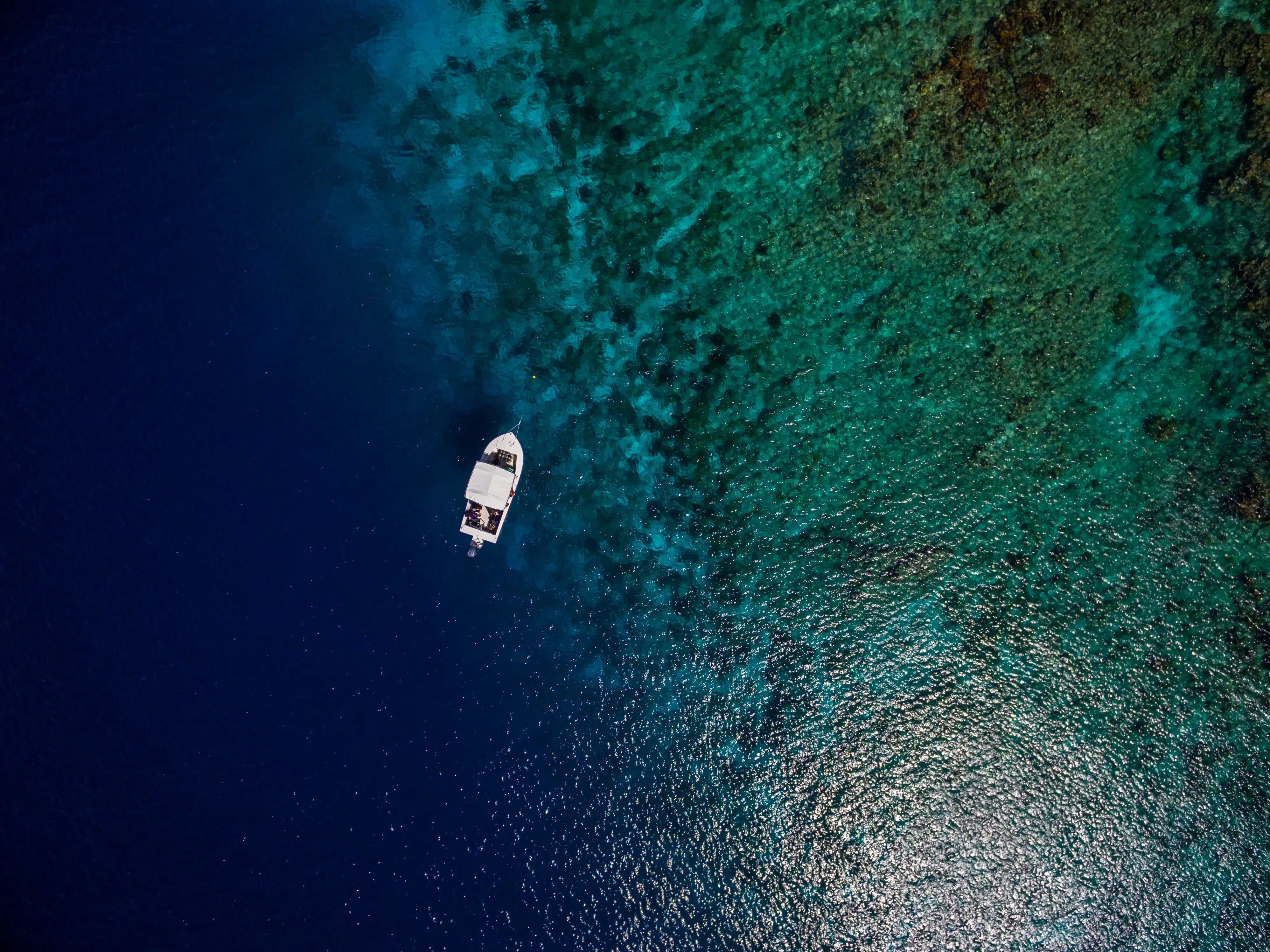 Boat sailing in bright blue water near a rocky coastline, seen from above.