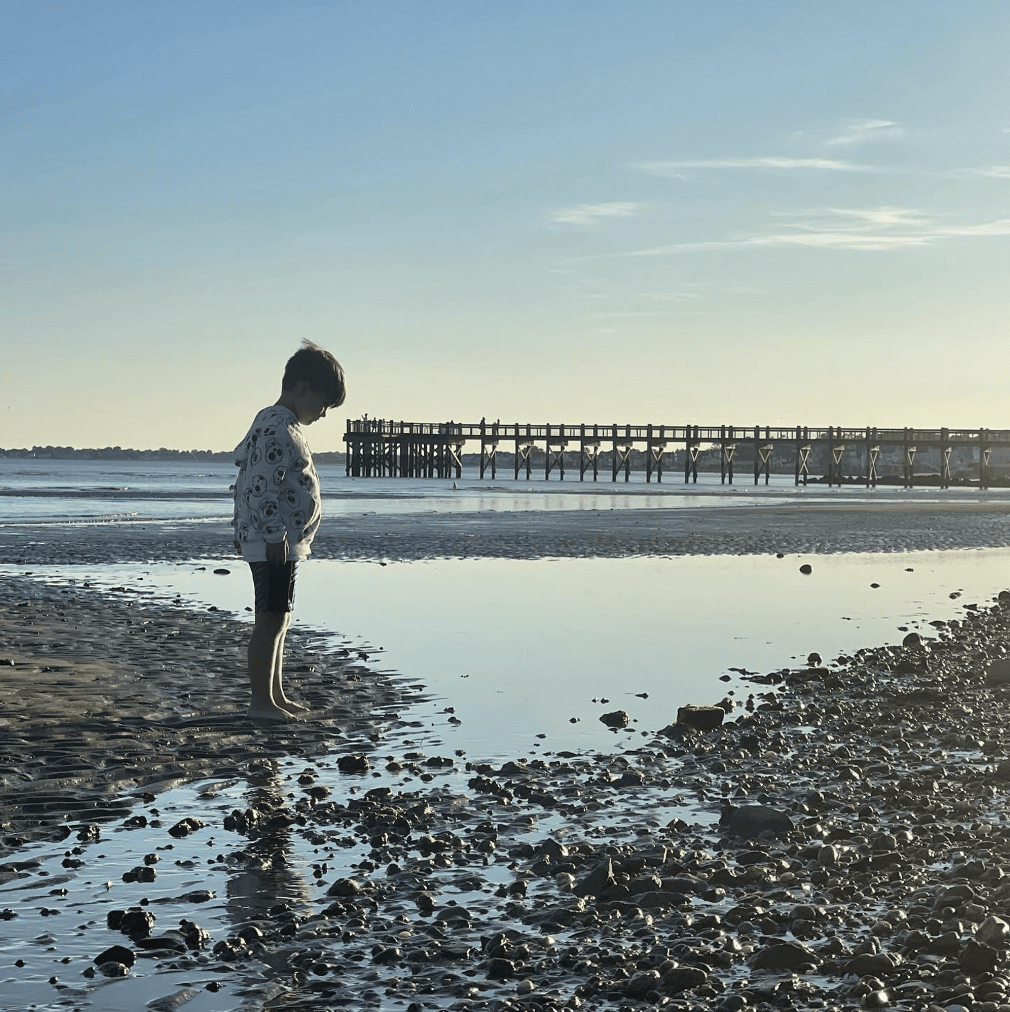 A young boy with curly hair in blue swim trunks stands at the water's edge, gazing out at the sparkling ocean under a clear blue sky. Seagulls soar overhead while gentle waves lap at the shore, creating a serene and picturesque scene of a carefree summer day at the beach.