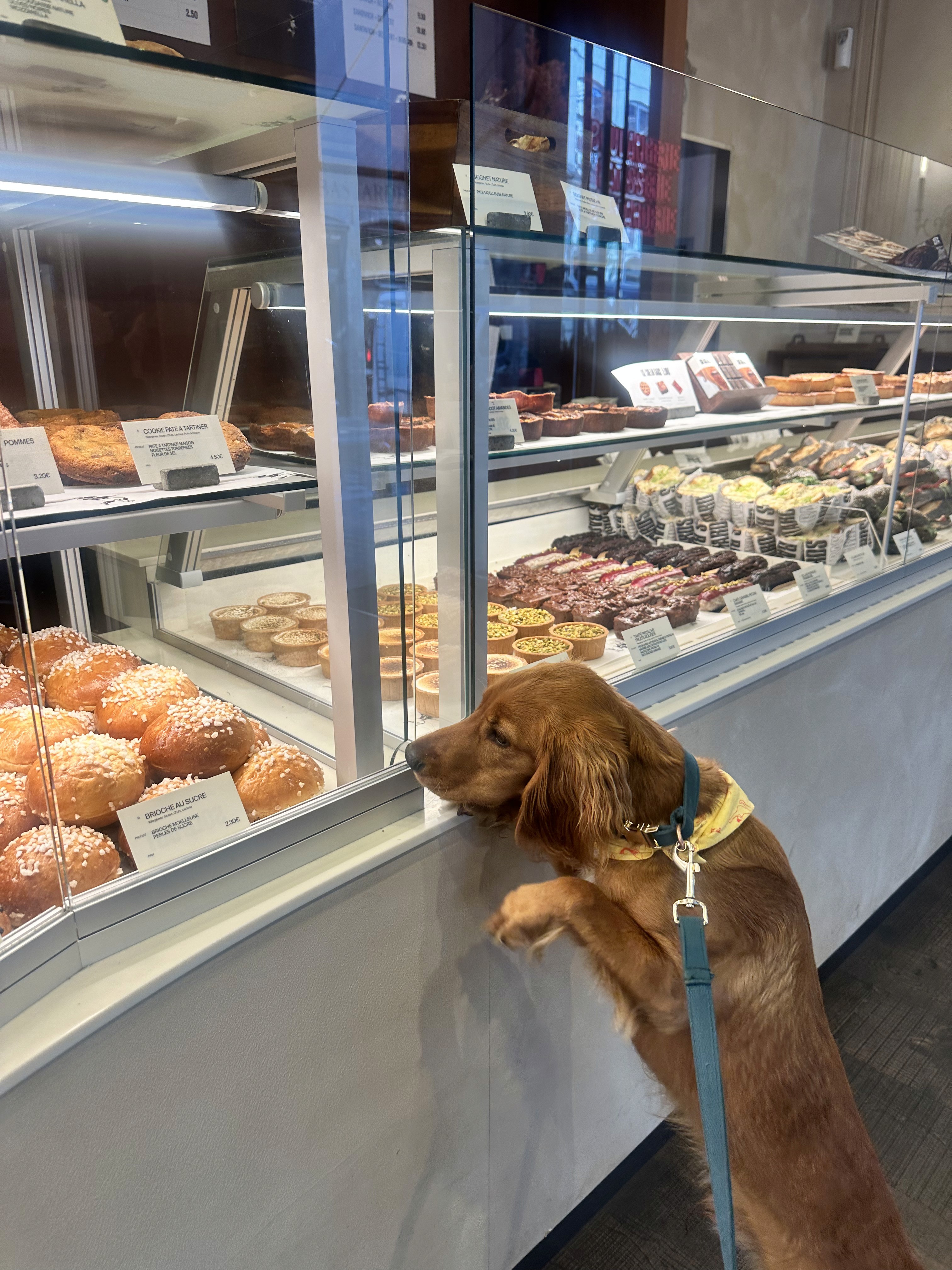 Counter products,pastries and desserts