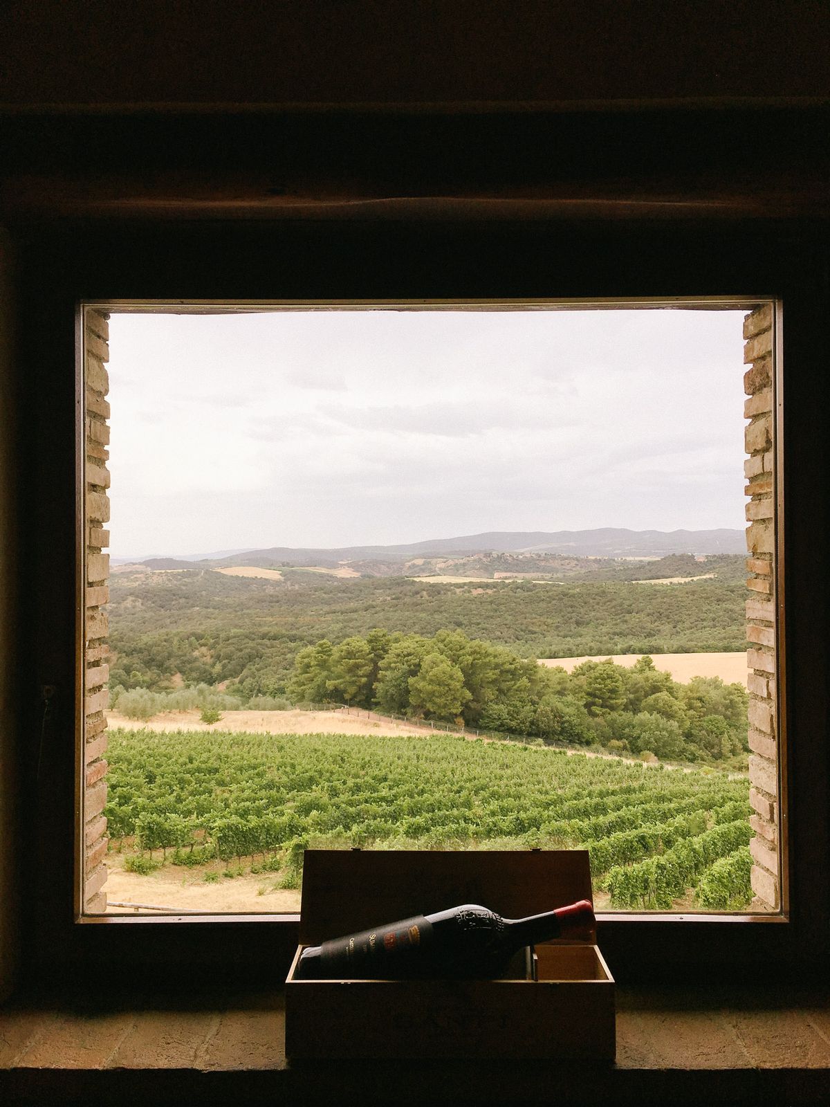 Rolling vineyard hills surrounding Montepulciano at sunset, Val d'Orcia, Tuscany