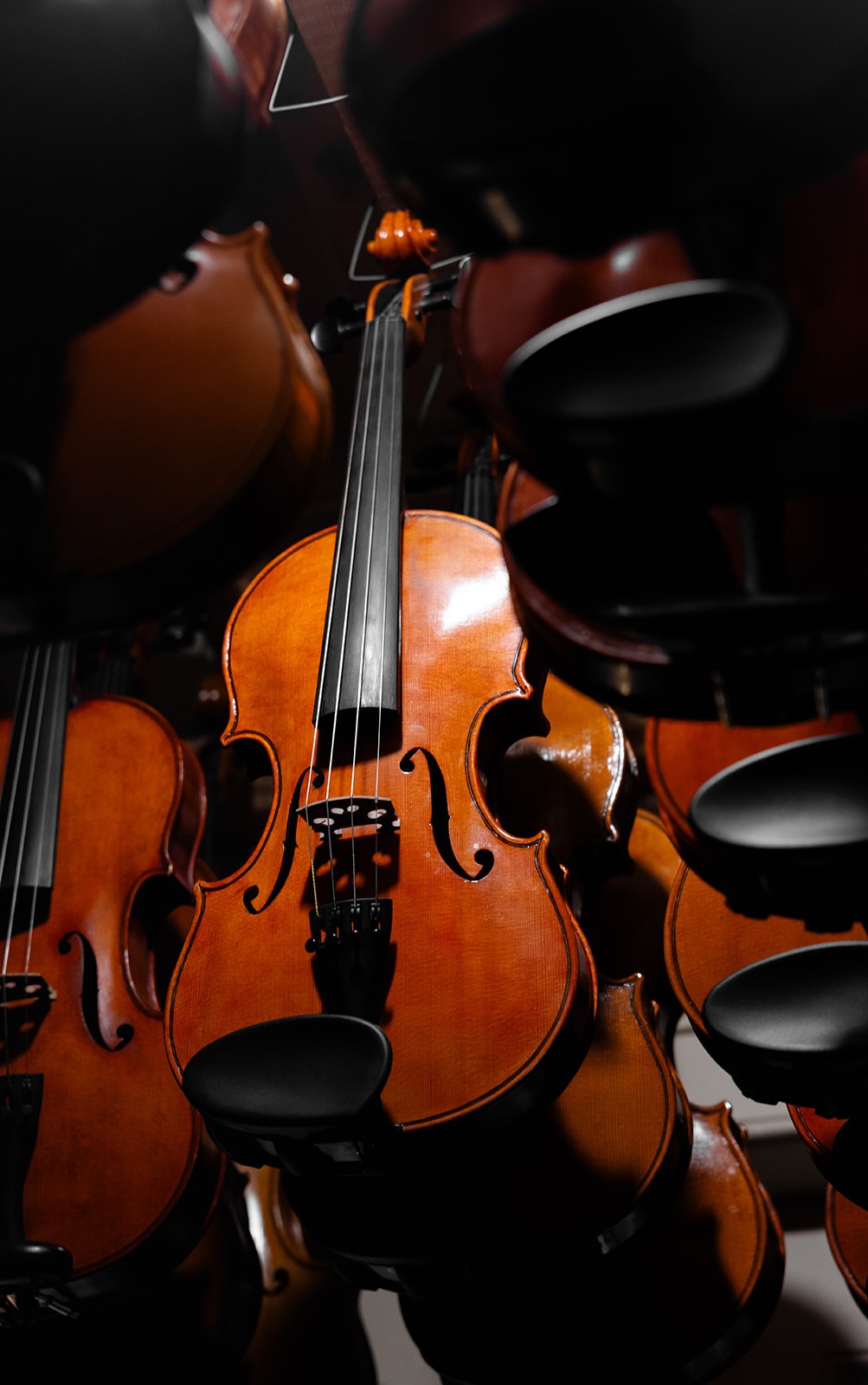 Vioolbouwer fotografie