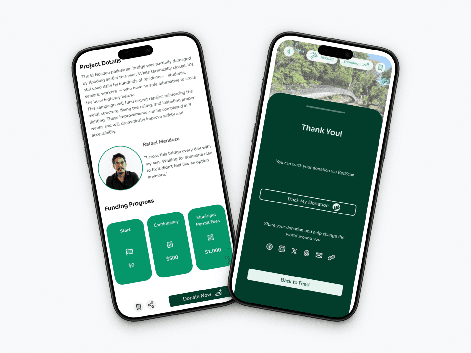 3 iPhones displaying the responsiveness of the website Compadre