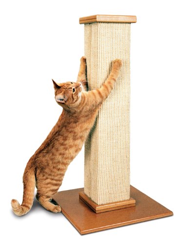 SmartCat Ultimate Scratching Post