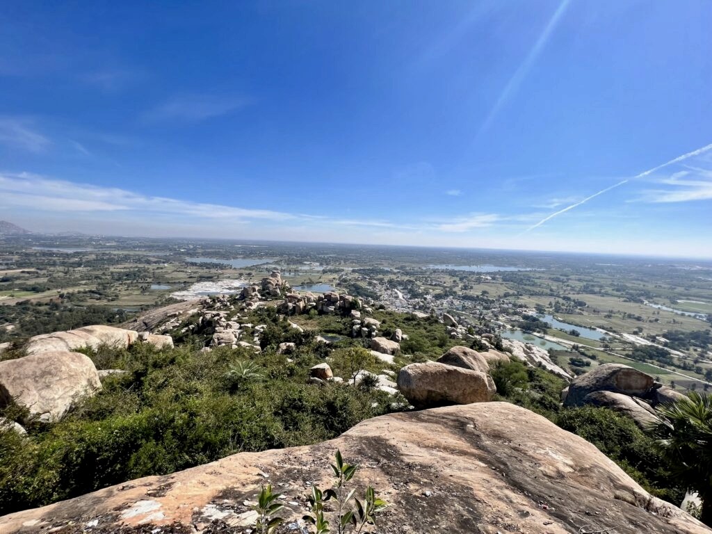 Views from the Avani betta