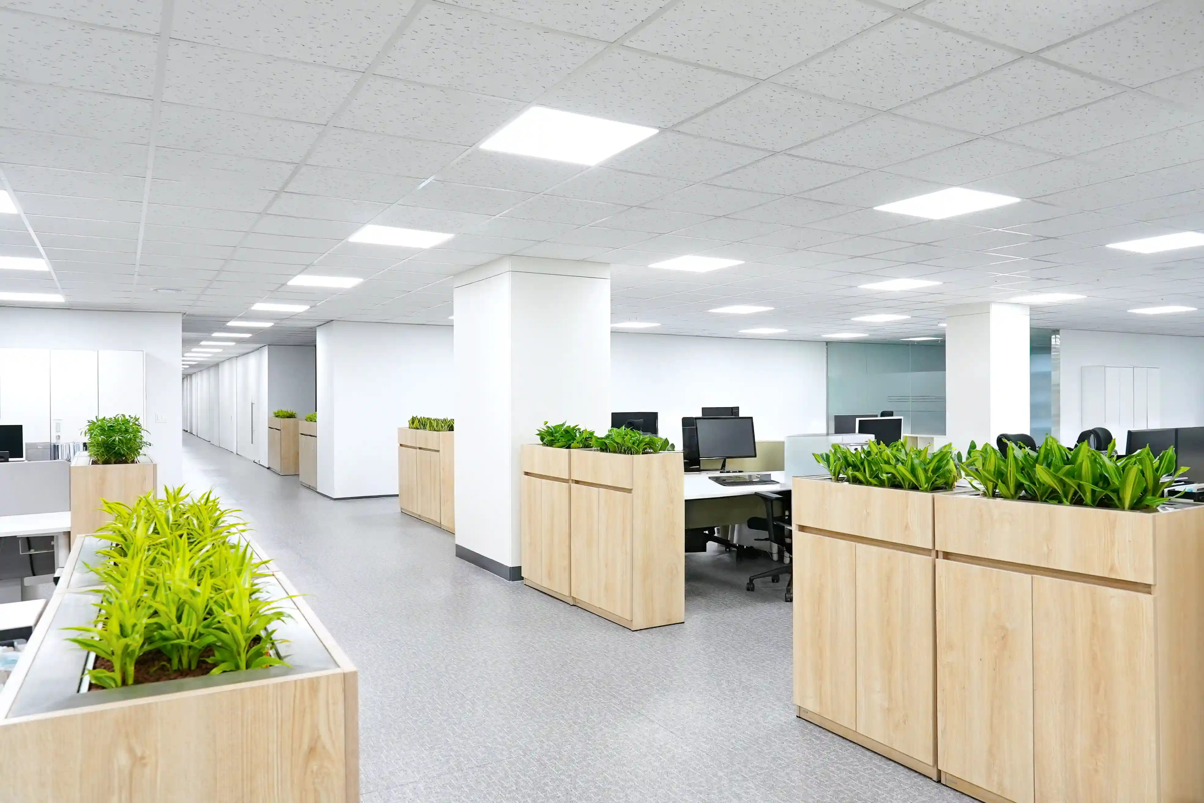 에코피플이 기획하고 설치한 사무실 플랜테리어디자인이다.
