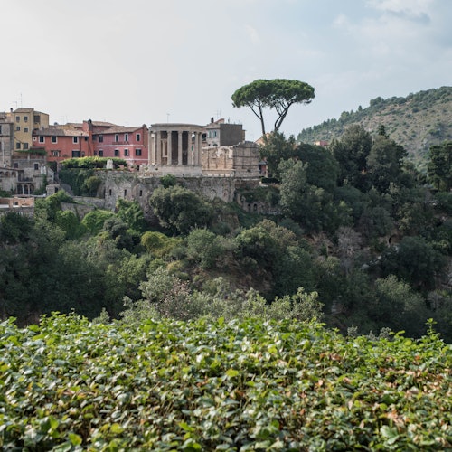 Un ancien temple avec des colonnes, entouré de verdure et de bâtiments, situé sur une colline dans un paysage de village pittoresque.