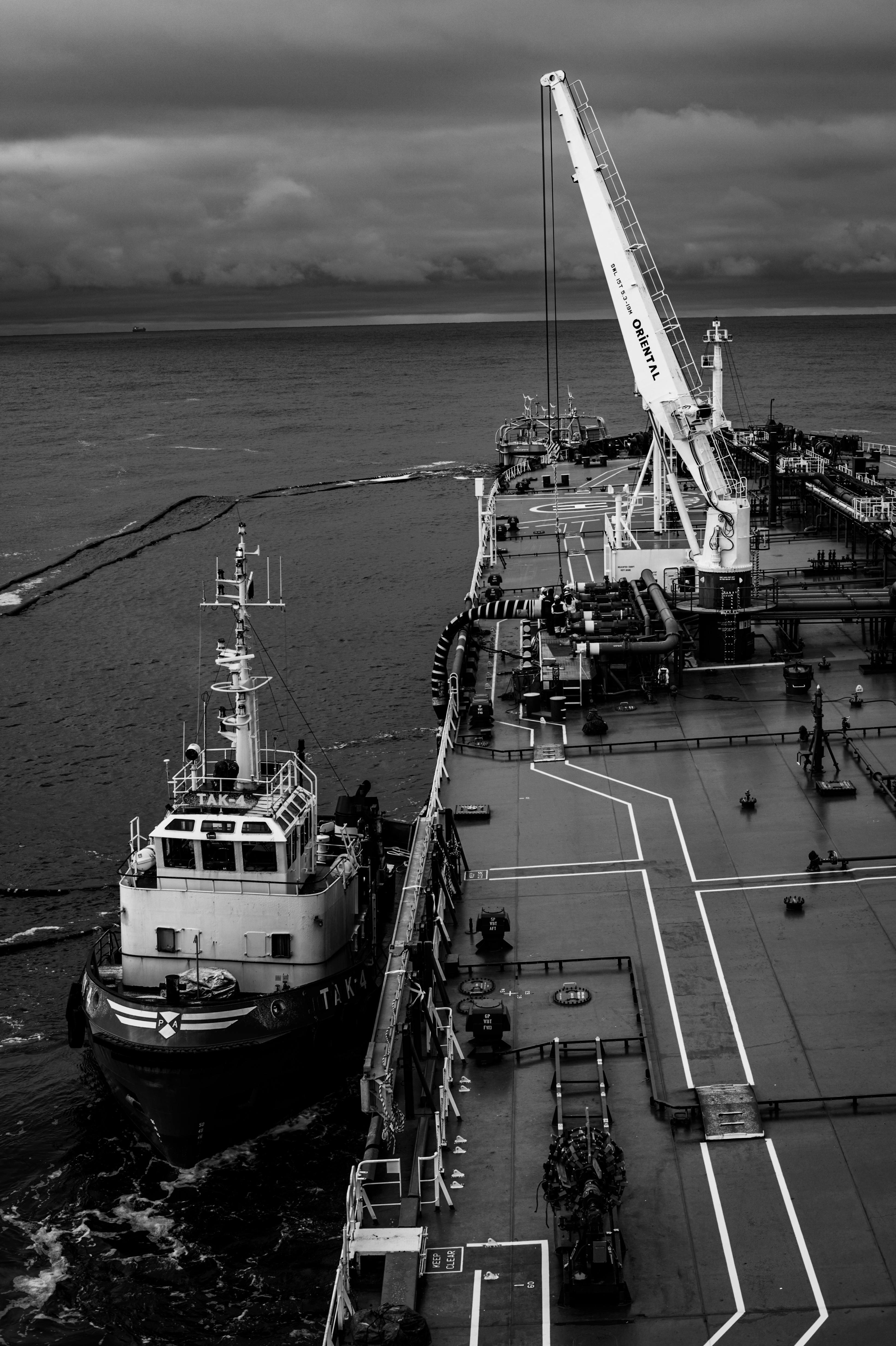 ESG consultant at Arelya smiling in modern office, supporting companies with CSRD and sustainability reporting