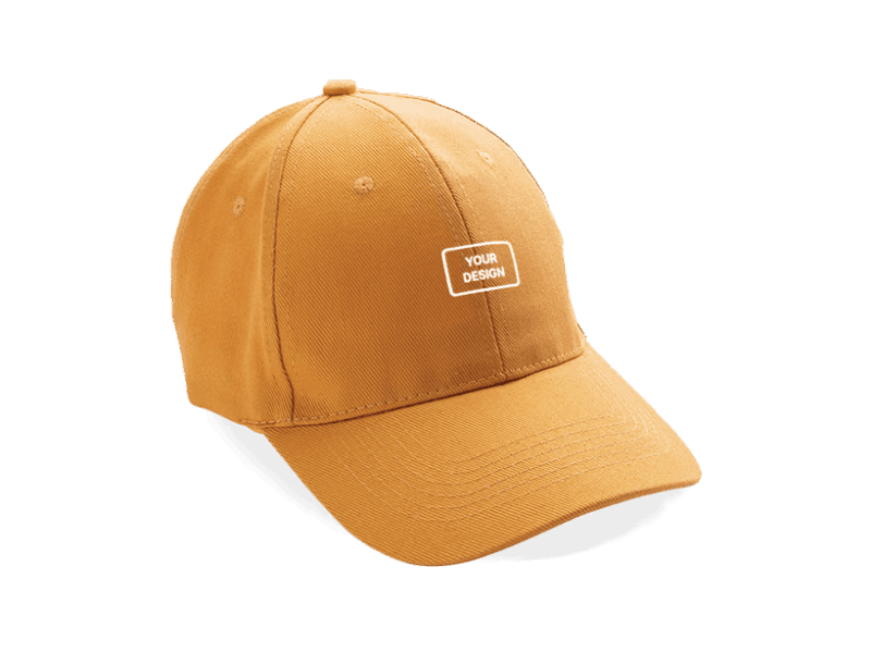 6 Panel Cap