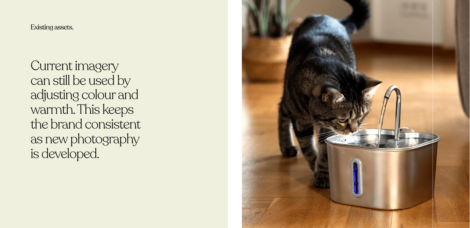 Modular brand architecture supporting future product expansion