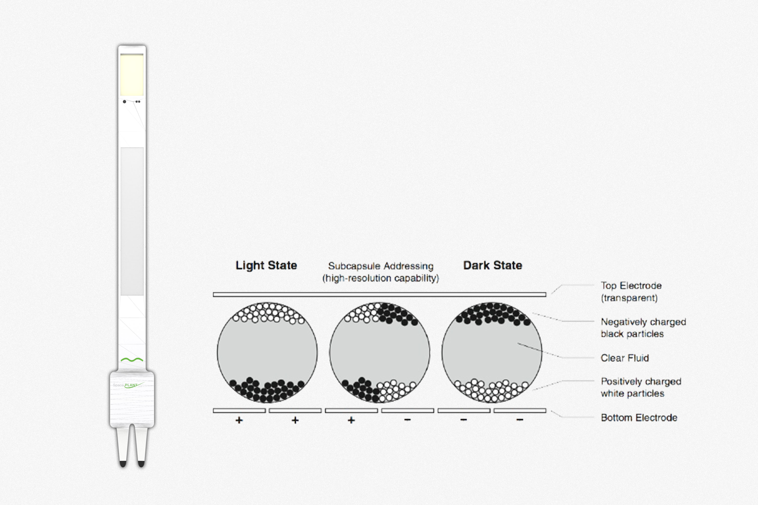 spaceplant component study
