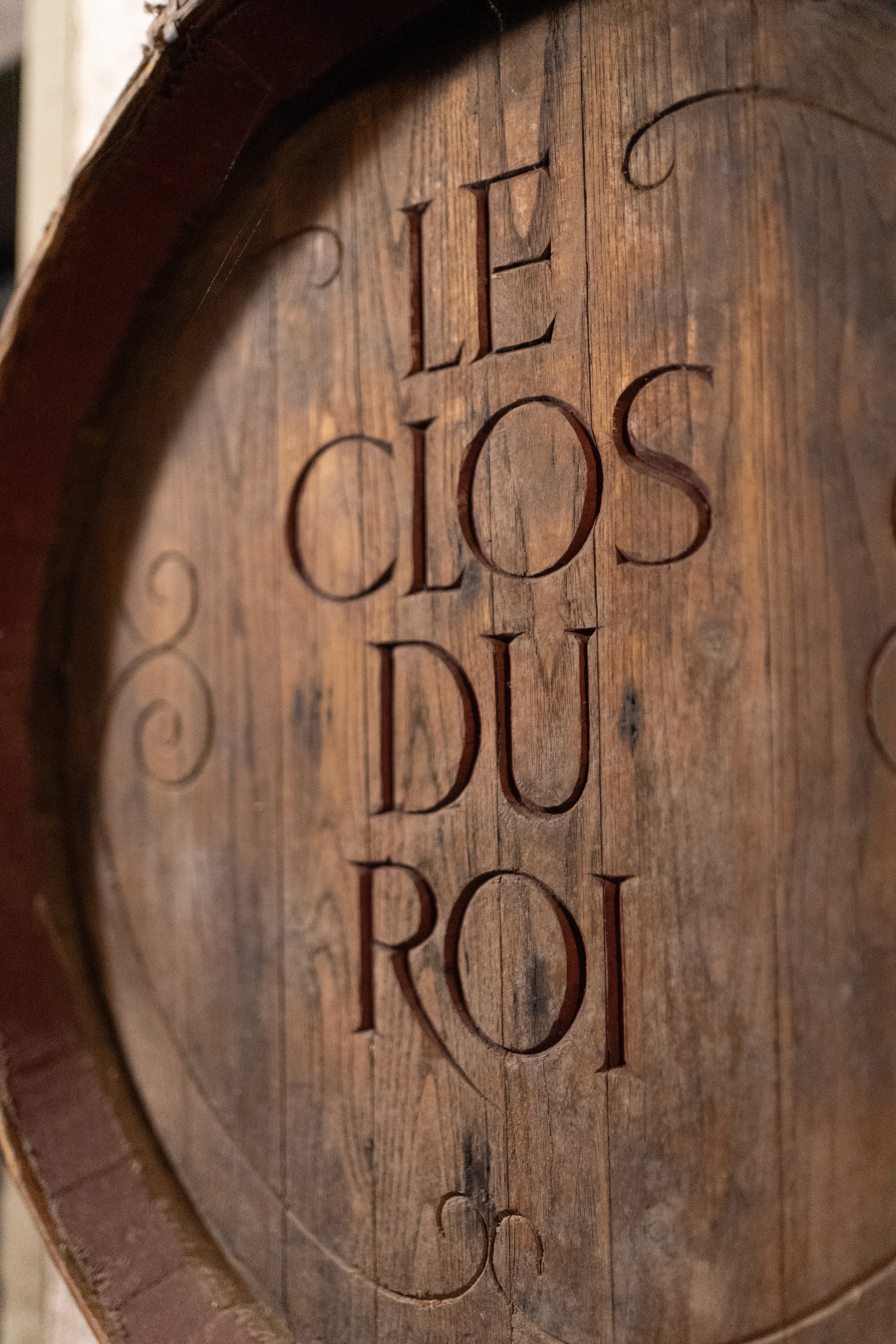 A panoramic view of a lush vineyard with rolling hills and a river in the background.