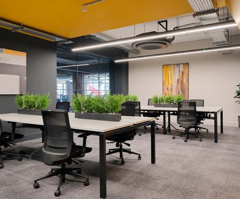 City centre office with desks, planted troughs and statement artwork