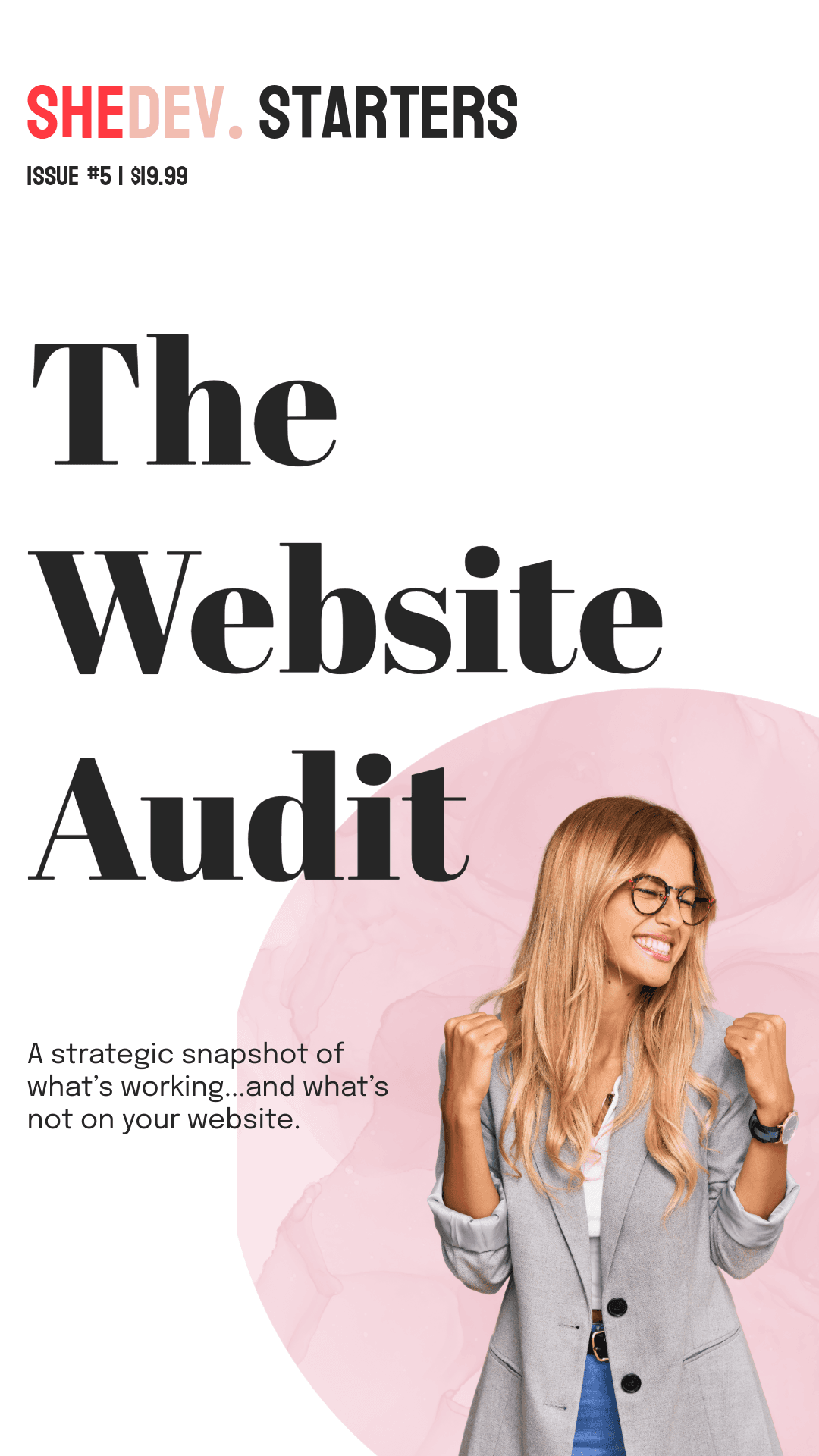 The website audit cover