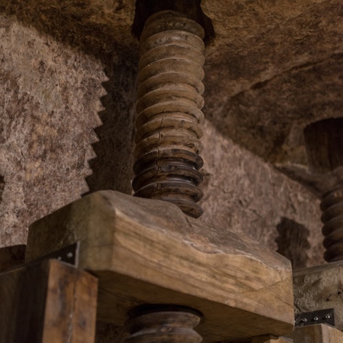 MOOM 马泰拉橄榄油博物馆：马泰拉参观票