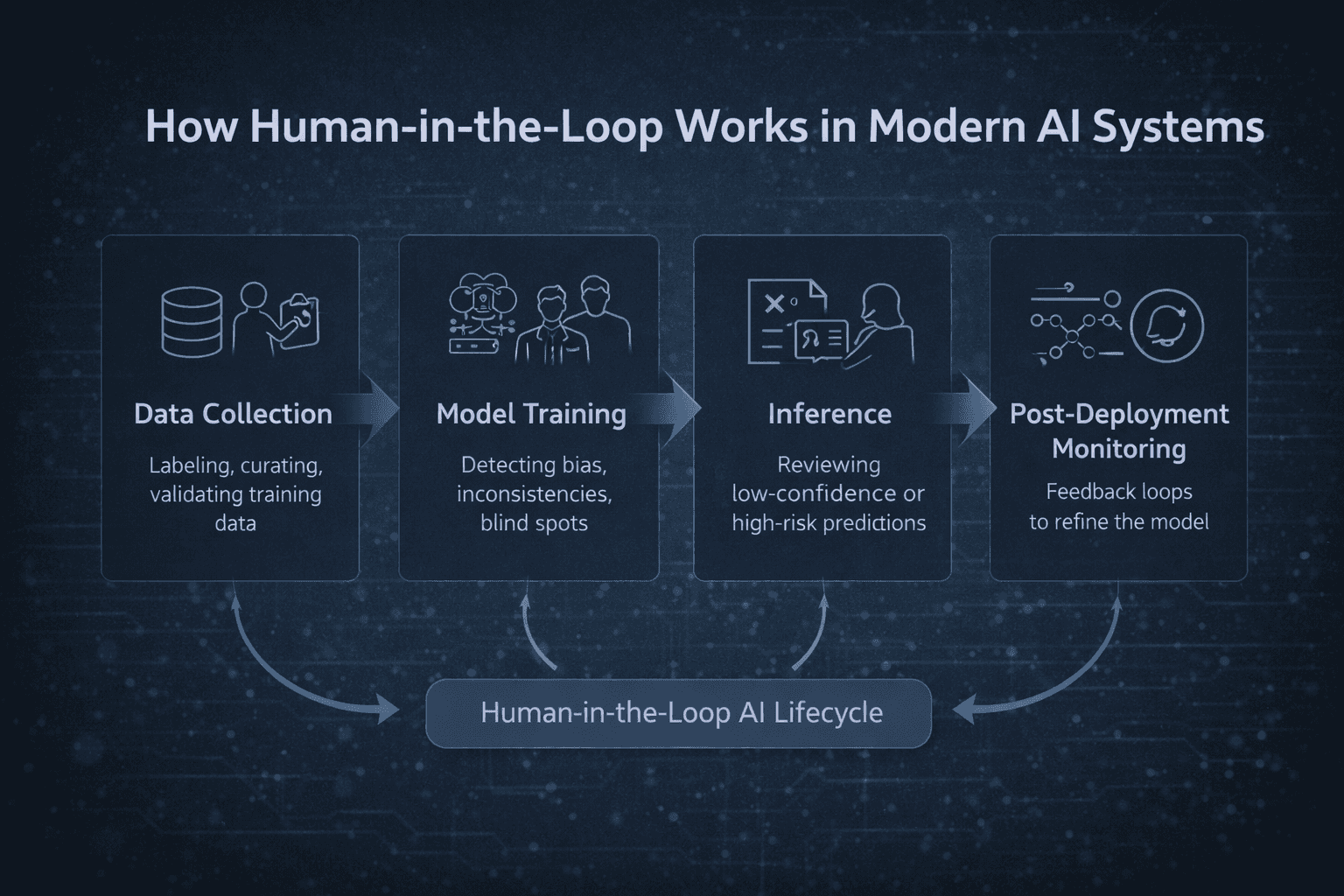 Human-in-the-loop AI lifecycle infographic showing data collection, model training, inference review, and post-deployment monitoring with human oversight.