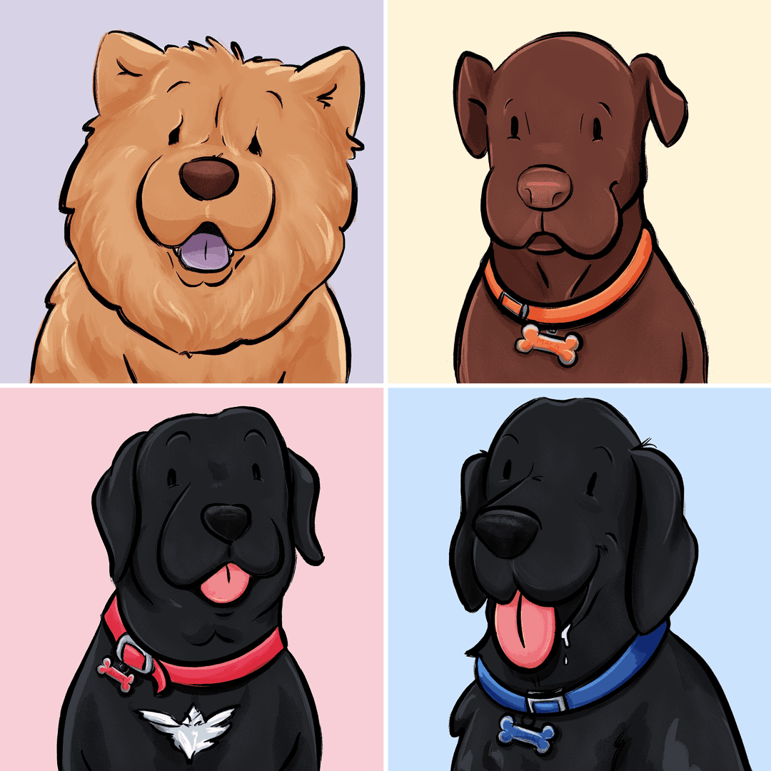 Perritos Salazar