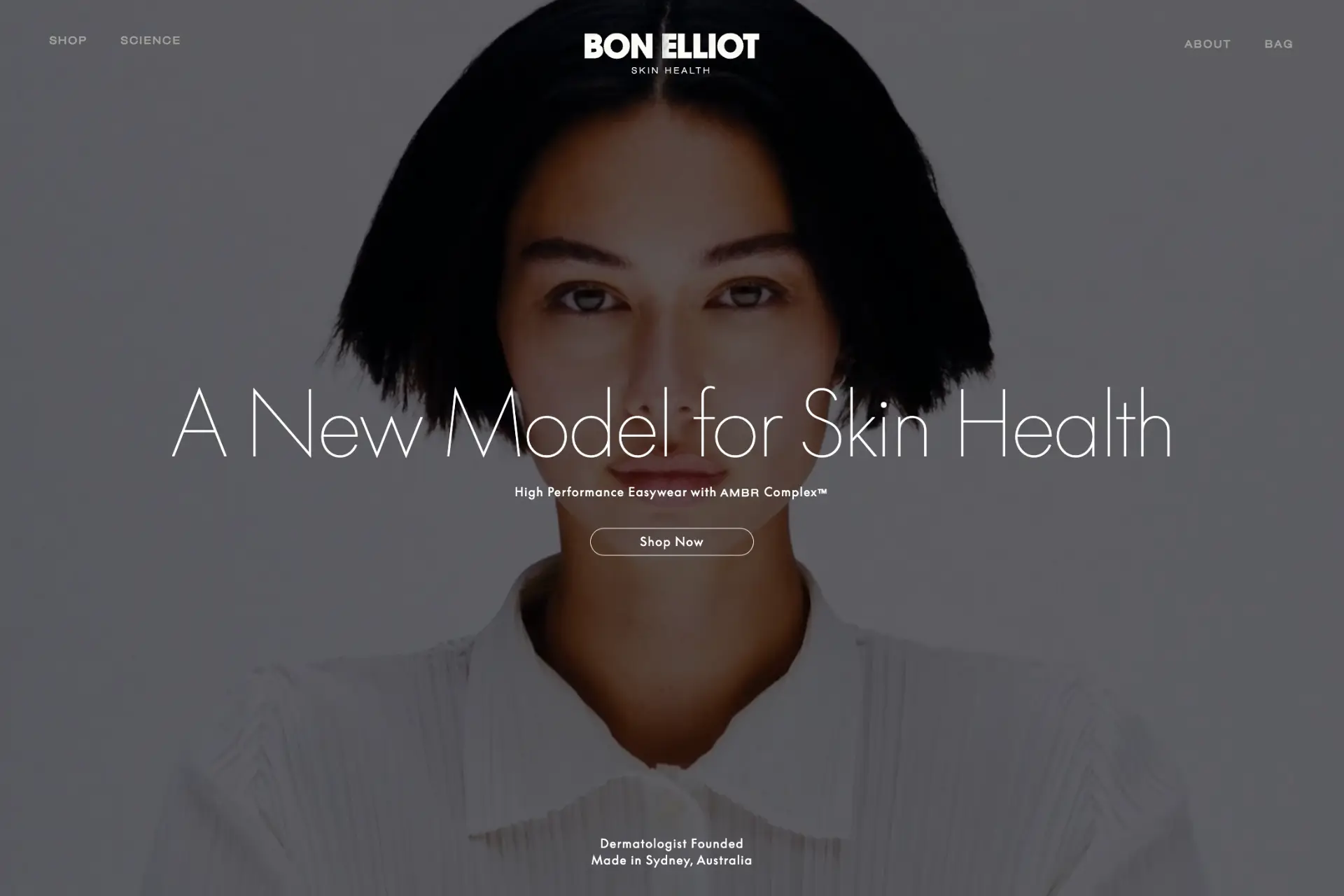 Screenshot of Bon Elliott website