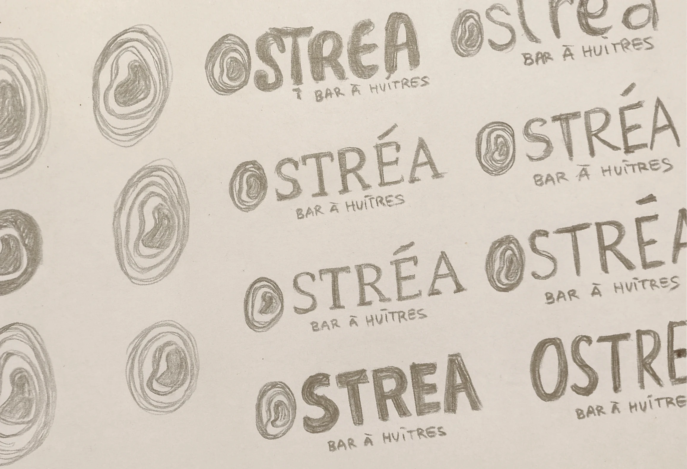 Esquisse du logo OSTREA